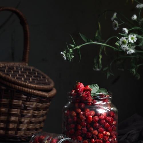 Photo #4799956