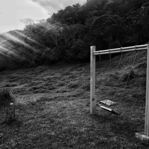 Photo #4800552