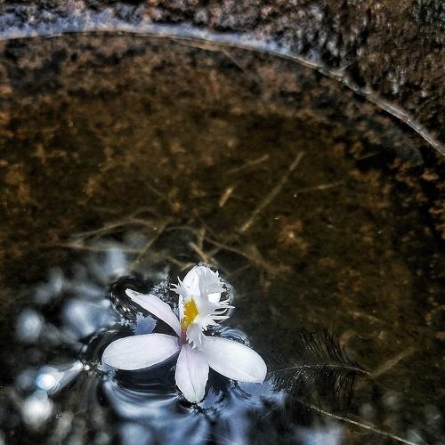 Photo #4800562
