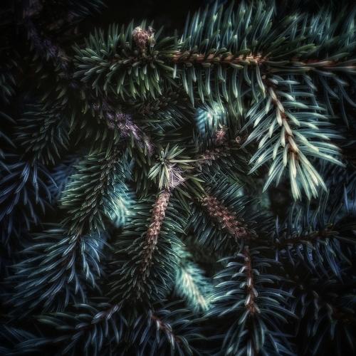 Photo #4800884