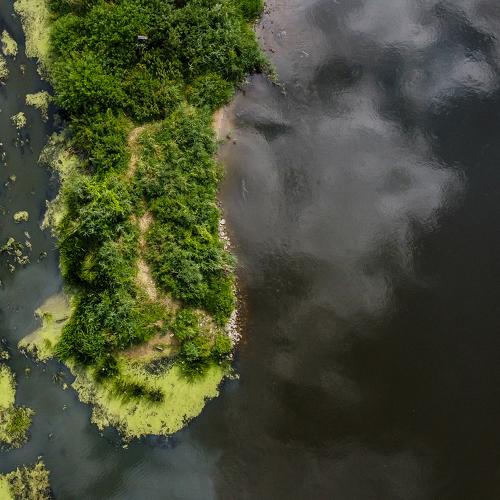 Photo #4801851