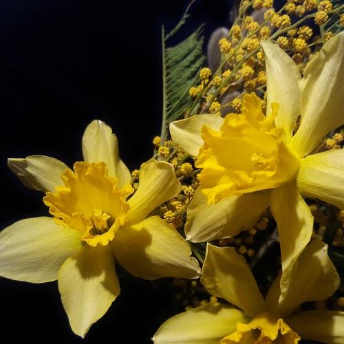Photo #4802739