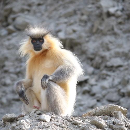Photo #4803024