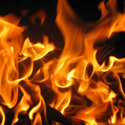 Photo #4803104