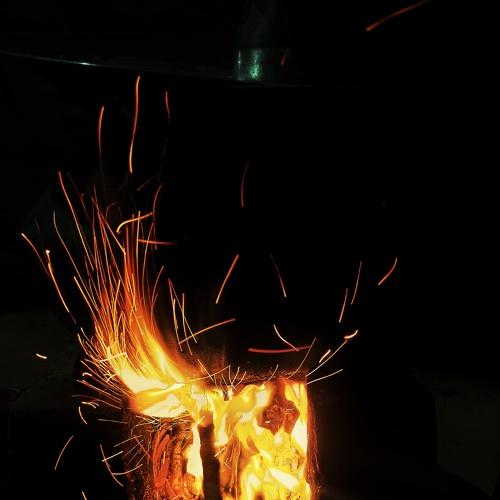 Photo #4803177