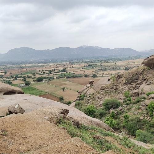 Photo #4803222