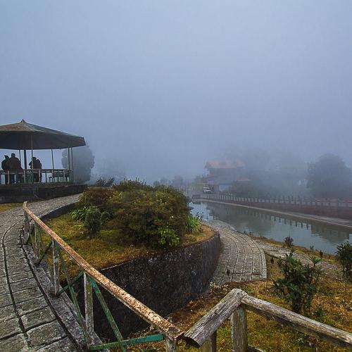 Photo #4803456
