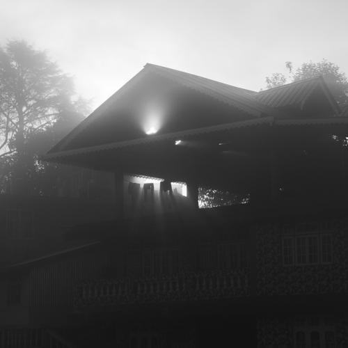 Photo #4803459