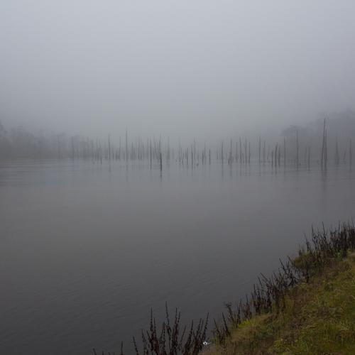 Photo #4803464