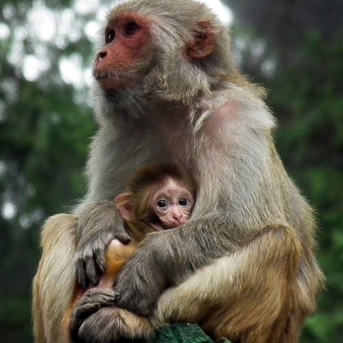 Photo #4803466