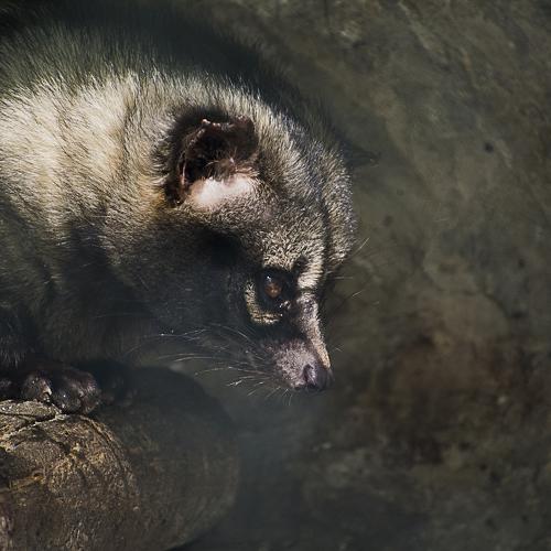 Photo #4803496