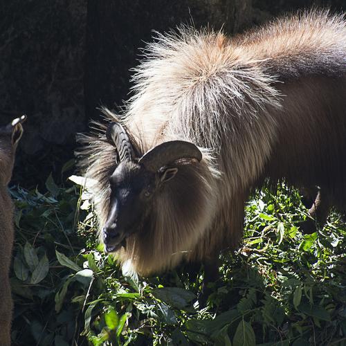 Photo #4803499