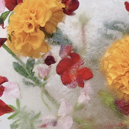 Photo #4804030