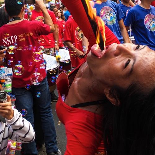 Photo #4804154