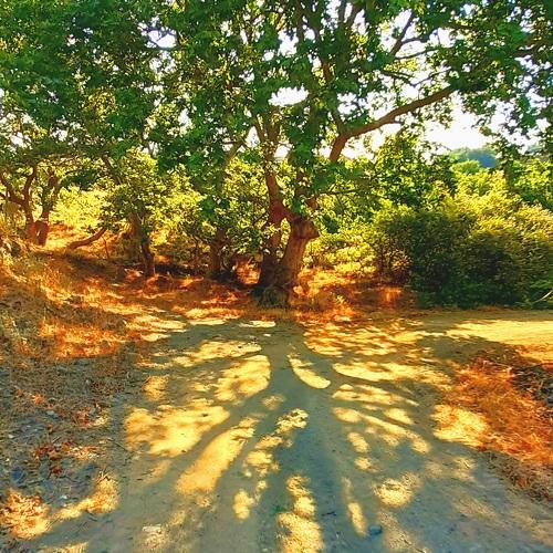 Photo #4804324