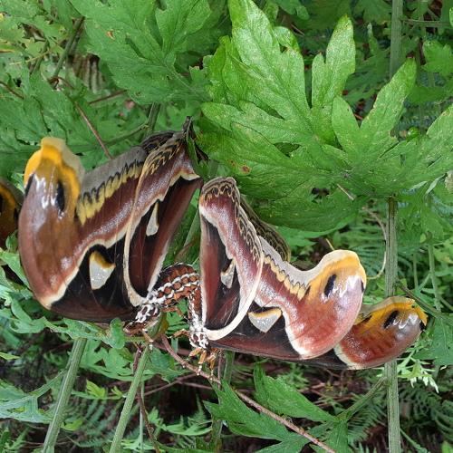 Photo #4804439