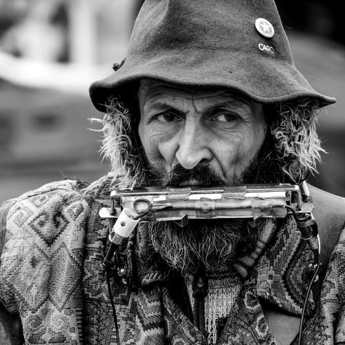 Photo #4804465