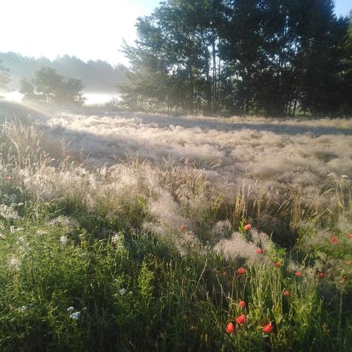 Photo #4804831