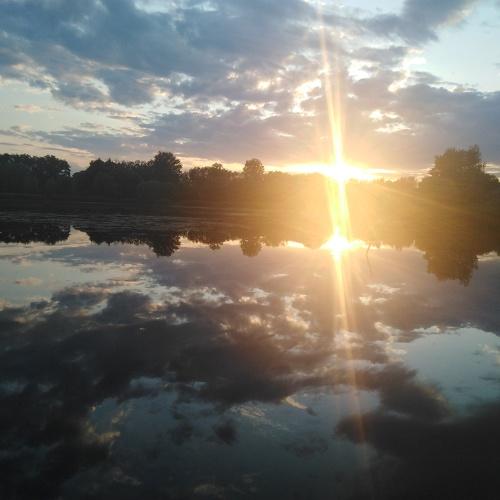 Photo #4804834