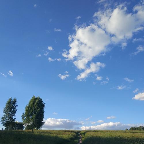 Photo #4805181