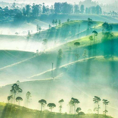 Photo #4805246