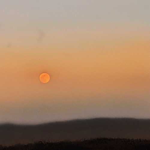 Photo #4805801