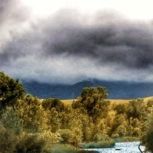 Photo #4805802