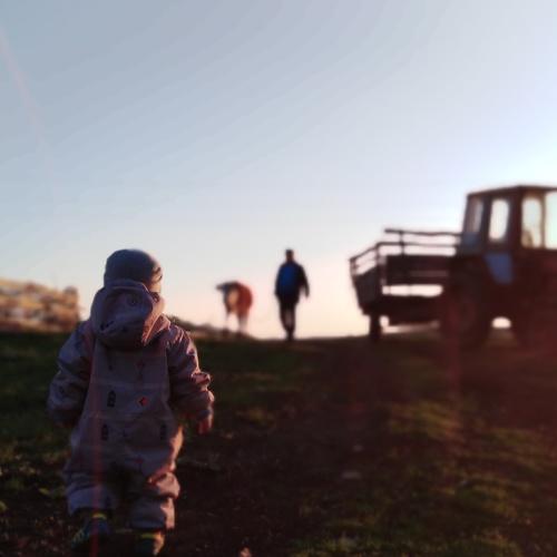 Photo #4806290