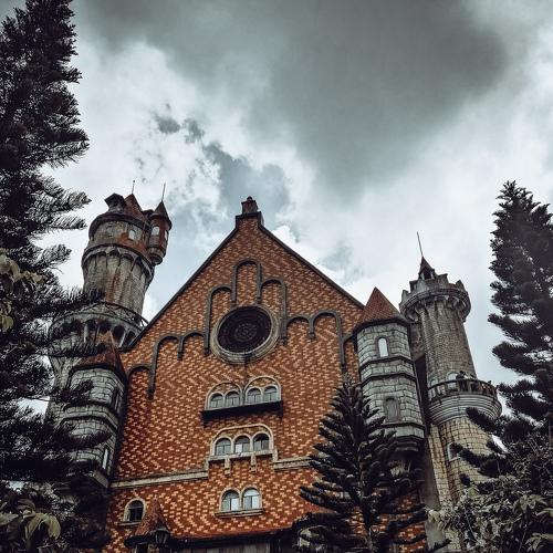 Photo #4806711