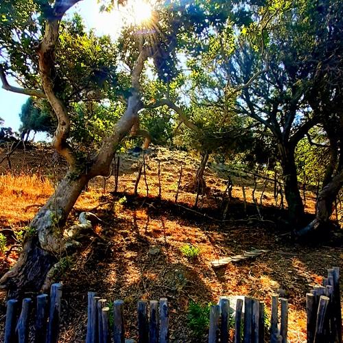 Photo #4806715