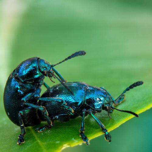 Photo #4806794