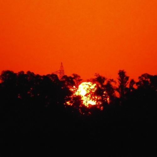 Photo #4806898