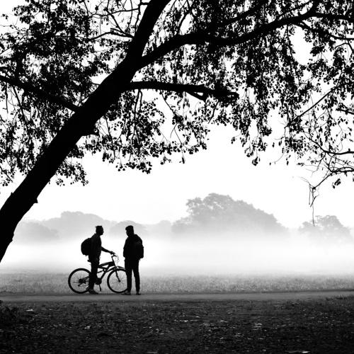 Friendship