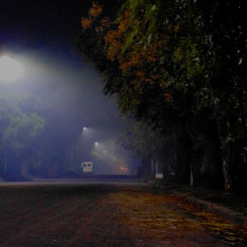 Photo #4807094