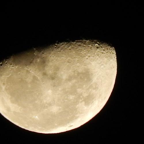 Photo #4807359