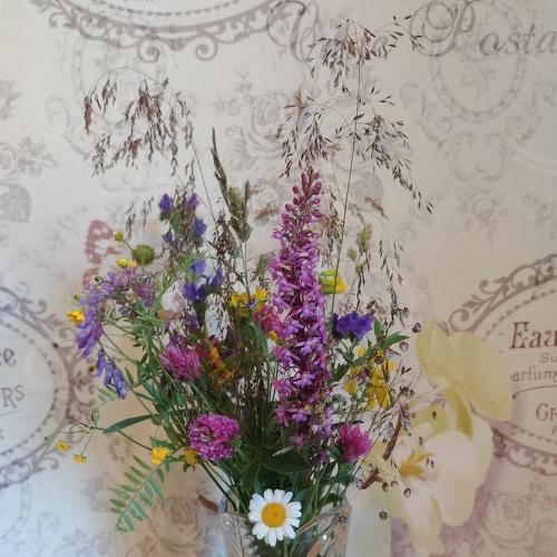 Photo #4807528