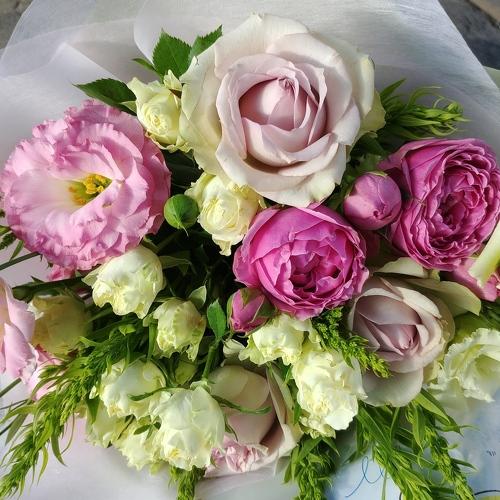 Photo #4807566