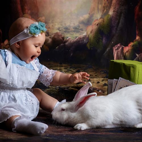 Photo #4807840