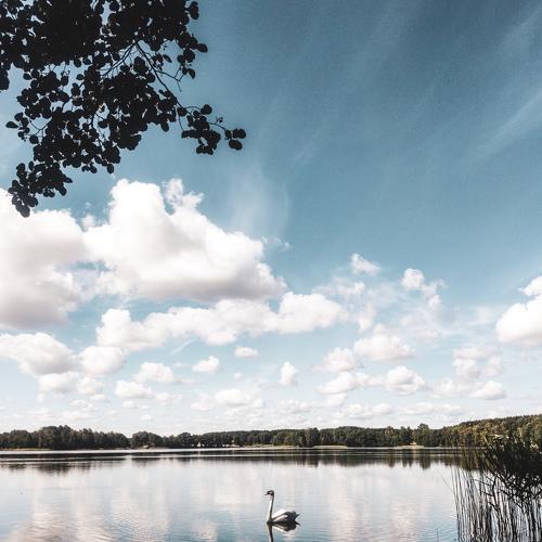 Photo #4808387