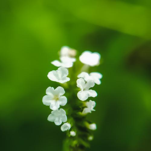 Photo #4808529