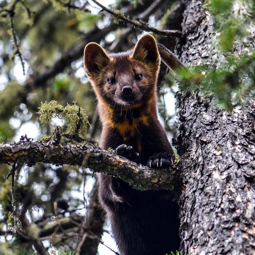 Photo #4808738