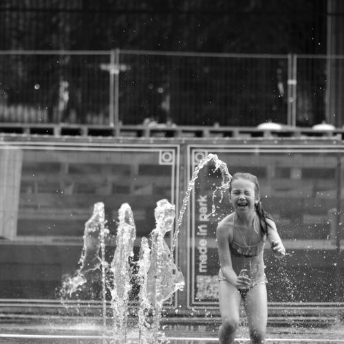 Photo #4808906