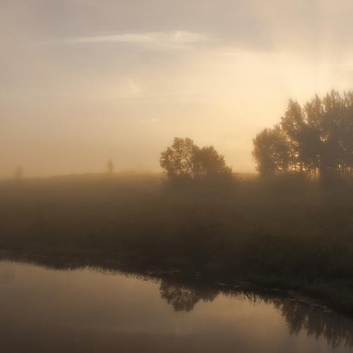Photo #4809634