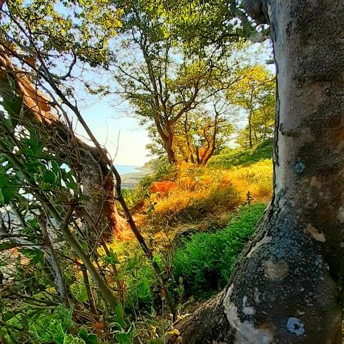 Photo #4809751