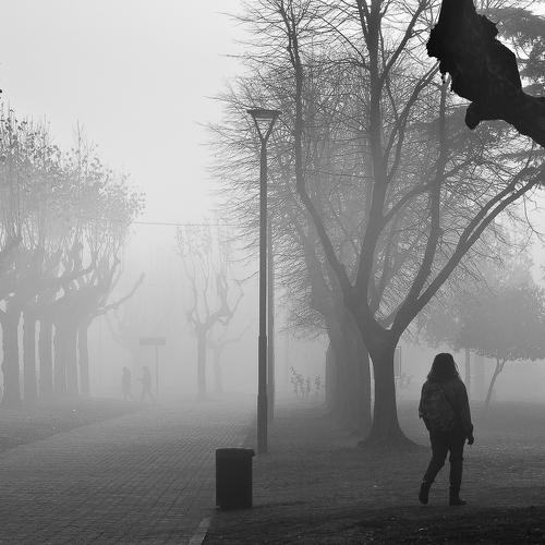 Caminante