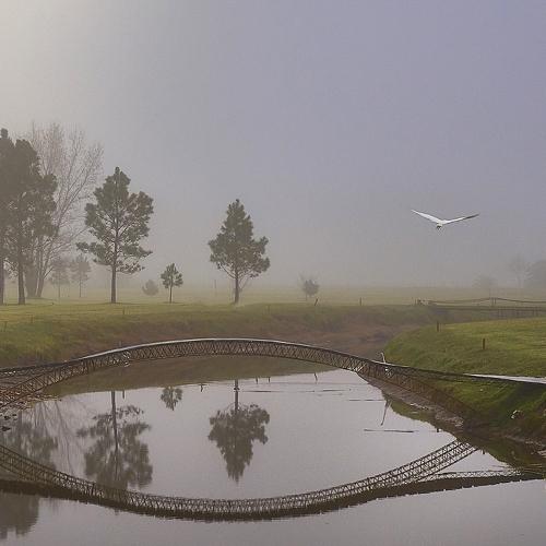 Levantando vuelo