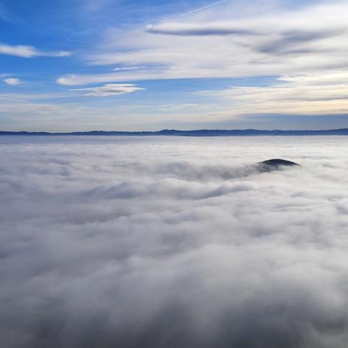 Photo #4810254