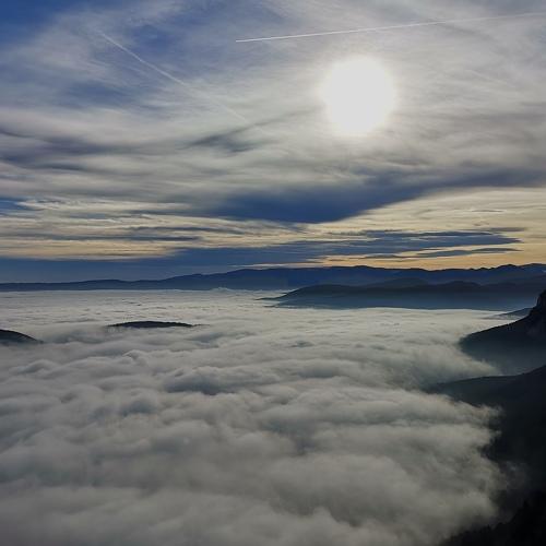 Photo #4810258