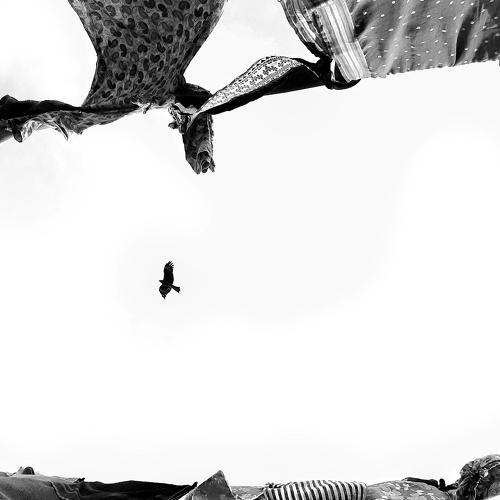 Photo #4810284
