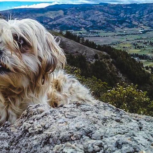 Photo #4810498